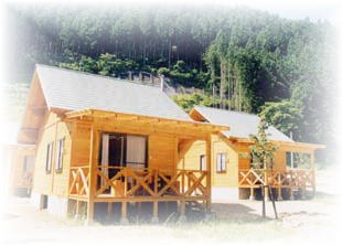 ページ記事サンプル