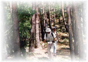 南信州ウォーキング天龍村 十方峡コース