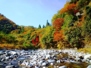 ページ記事サンプル