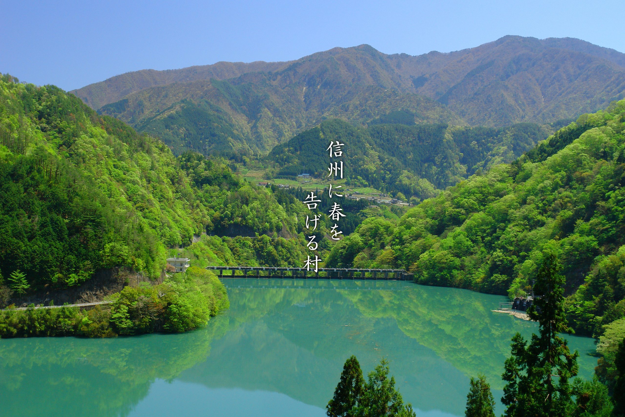 ページ記事サンプル