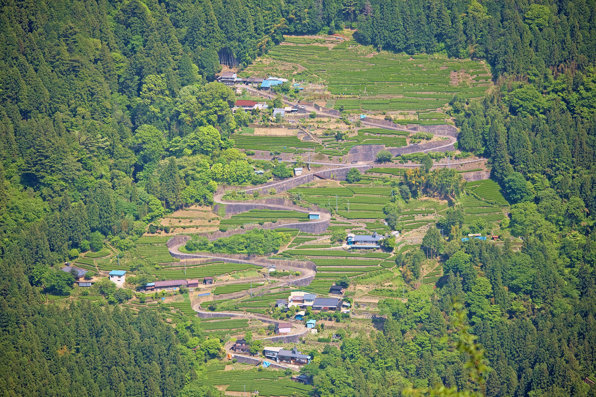 ページ記事サンプル