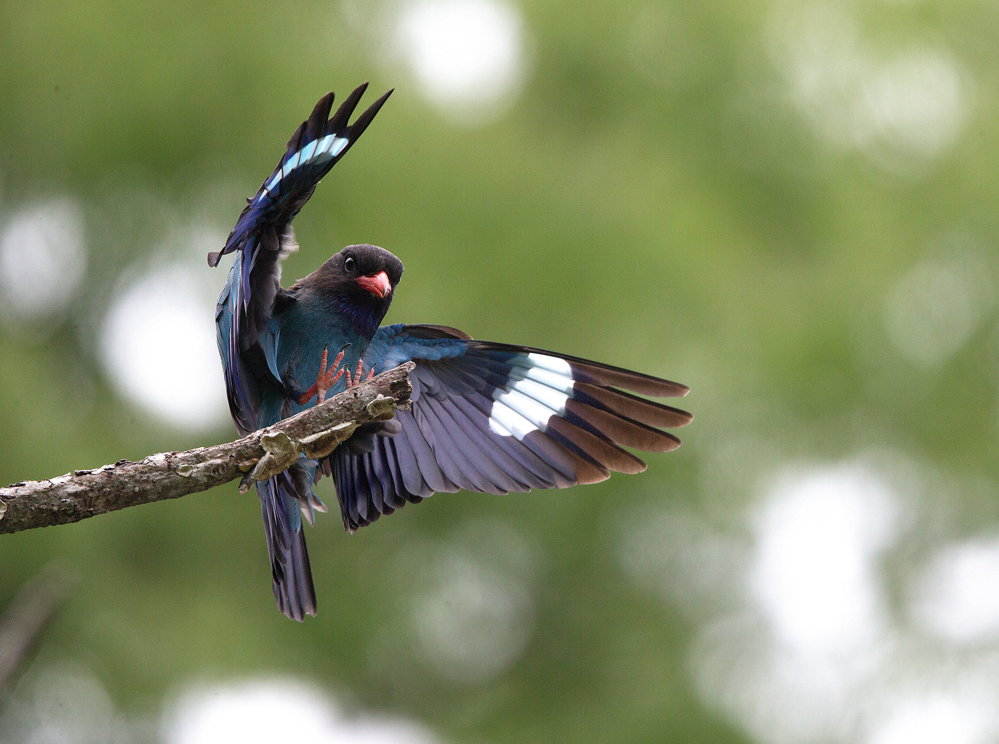 ページ記事サンプル