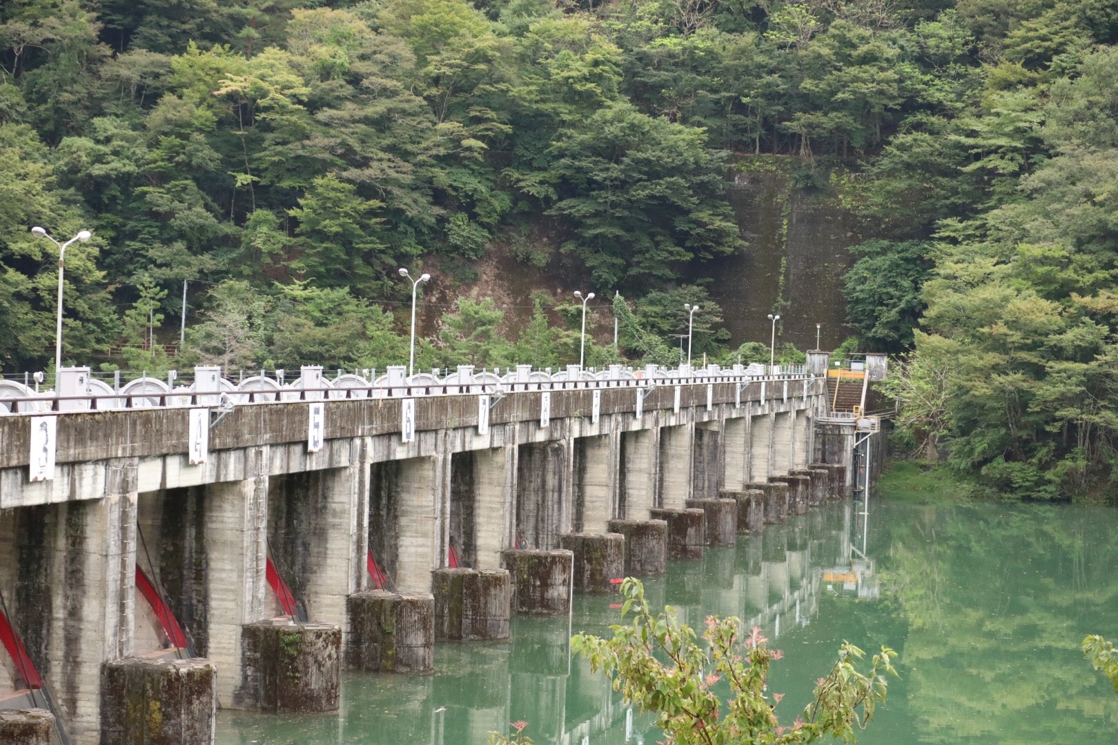 ページ記事サンプル