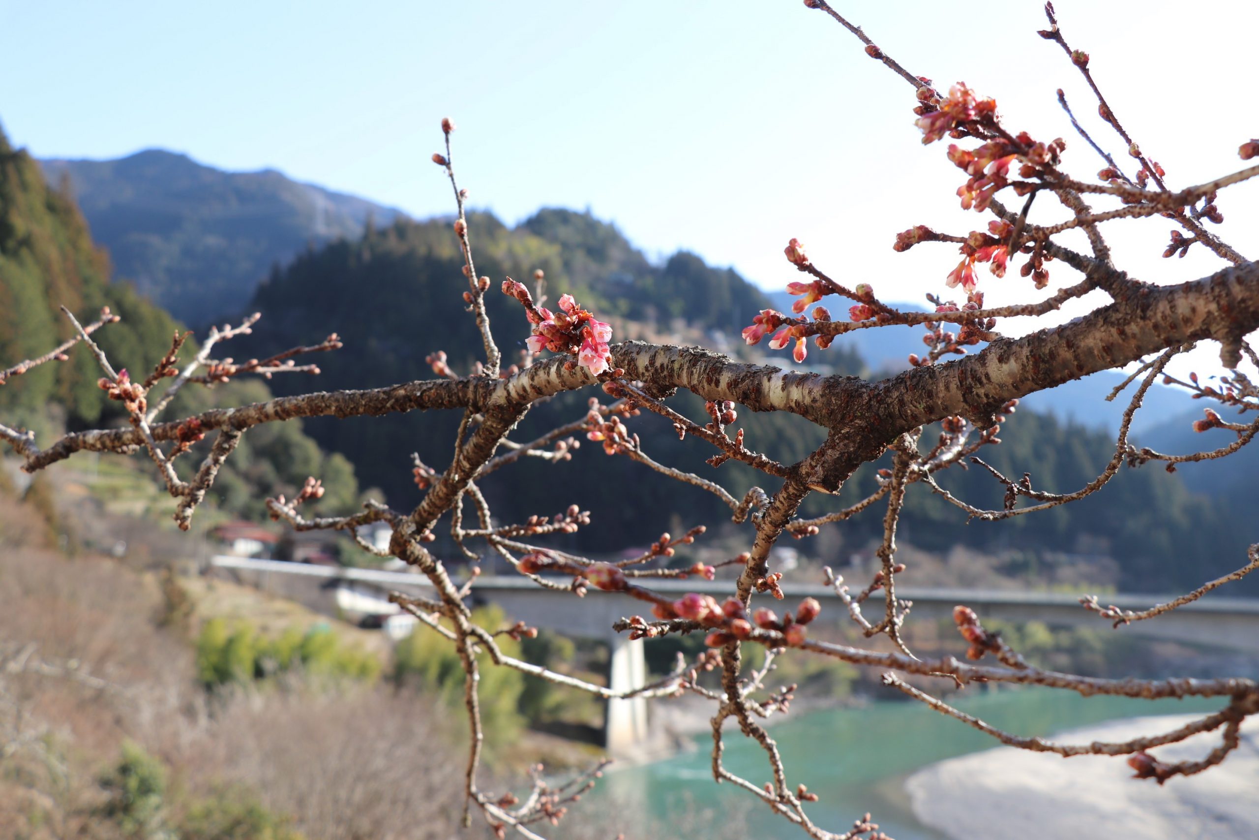 ページ記事サンプル